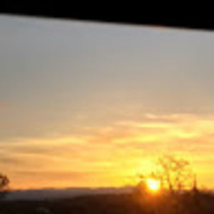 Meet your Posher, Marla